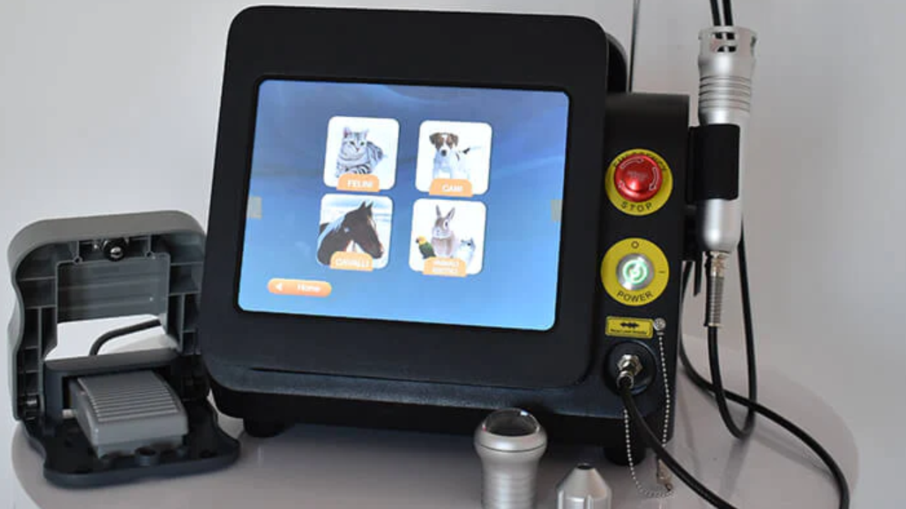 Which Diseases Can Be Addressed By Class 4 Laser Therapy?