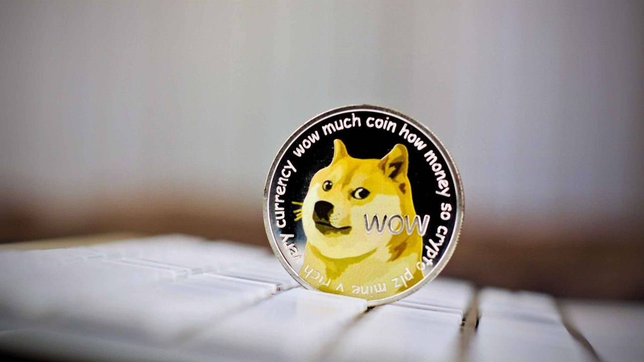 How to Buy Dogecoin in Canada and Monitor Your Wallet on Bitget